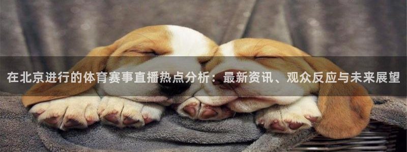 在北京进行的体育赛事直播热点分析：最新资讯、观众反应与未来展望