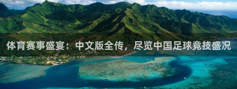 体育赛事盛宴：中文版全传，尽览中国足球竞技盛况