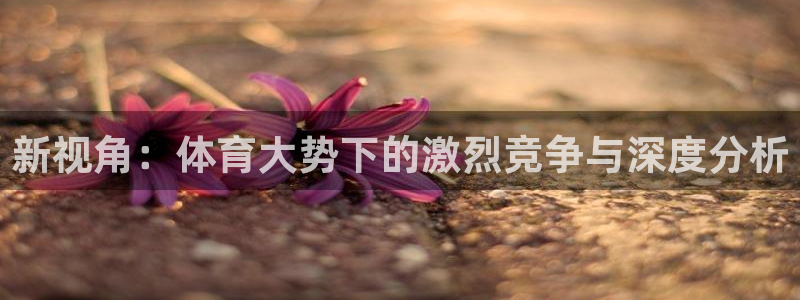 新视角：体育大势下的激烈竞争与深度分析