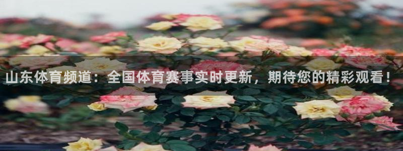 山东体育频道：全国体育赛事实时更新，期待您的精彩观看！