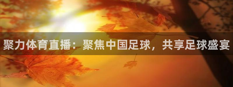 聚力体育直播：聚焦中国足球，共享足球盛宴
