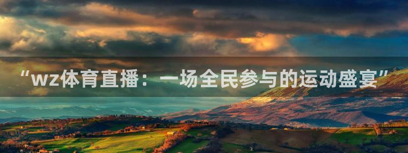 “wz体育直播：一场全民参与的运动盛宴”