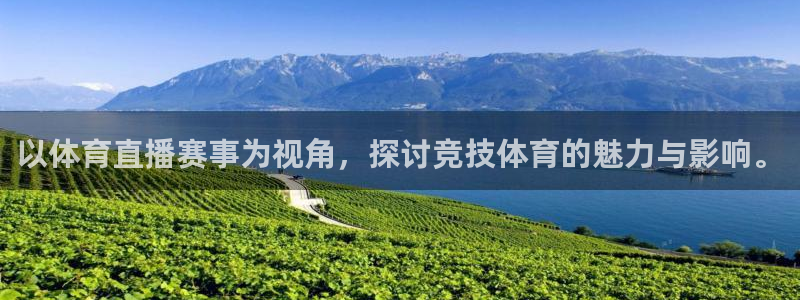 以体育直播赛事为视角，探讨竞技体育的魅力与影响。