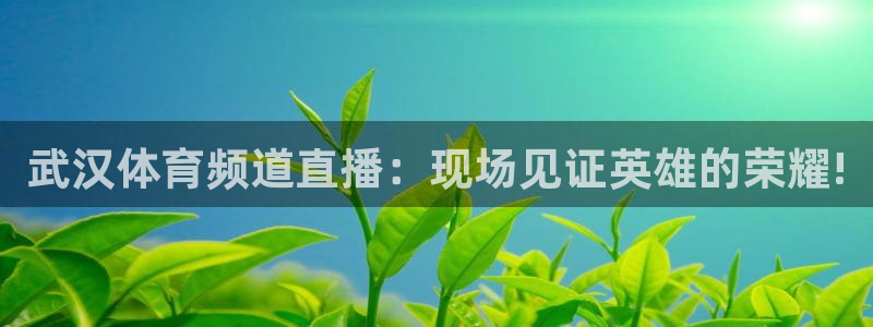 武汉体育频道直播：现场见证英雄的荣耀!