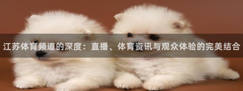 江苏体育频道的深度：直播、体育资讯与观众体验的完美结合