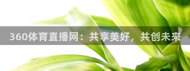 360体育直播网：共享美好，共创未来